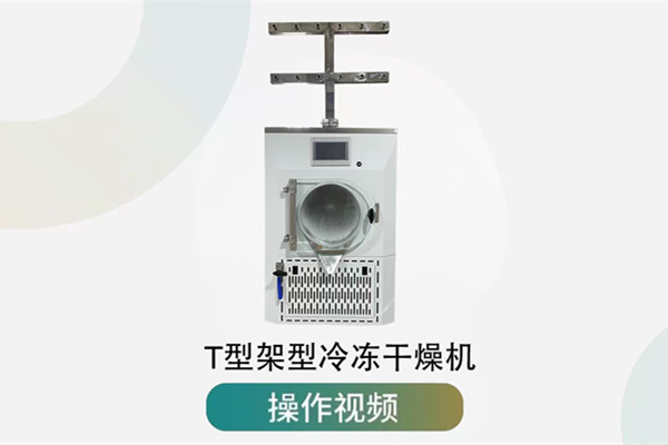 点点手机版网页登录操作视频